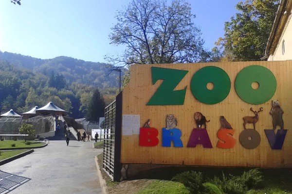 Zoo Brasov