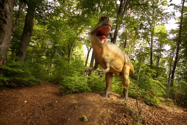 Dino Parc Rasnov-3